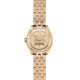 Dámske hodinky_Certina DS-2 Lady C049.210.33.026.00_Dom hodín MAX