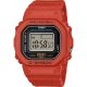 Casio DWN-5600-4ER