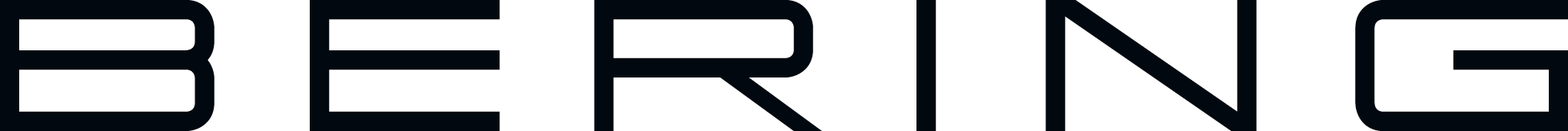 BERING-Logo.png